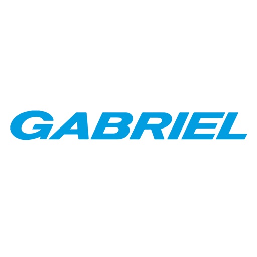 gabriel india